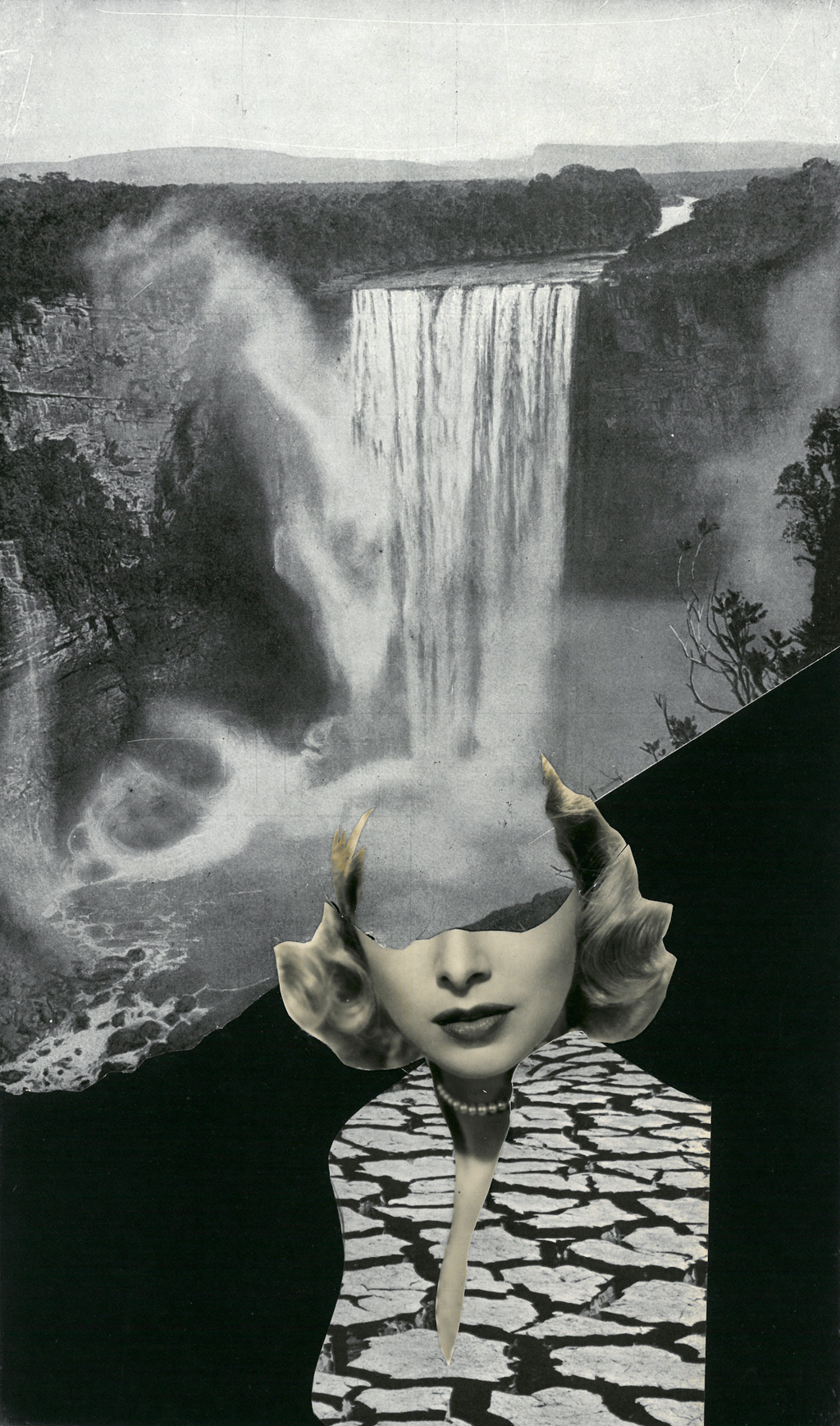collage-1471