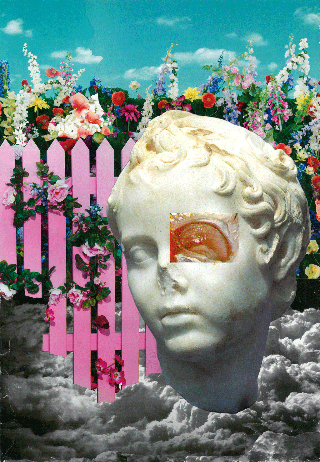 collage-1115